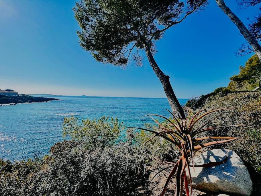Apartamento Escapade Au Coeur De Sanary Exterior foto